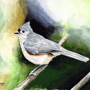 Meise Malerei 8x10 Aquarell