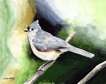 Titmouse painting 8x10 watercolor