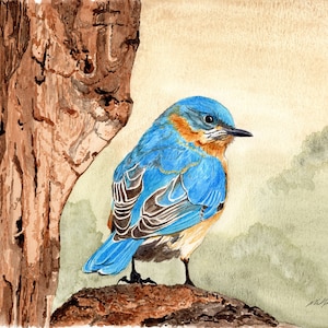 Bluebird painting 8x10 watercolor