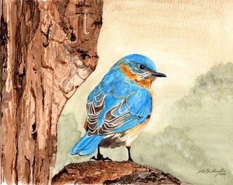 Bluebird painting 8x10 watercolor