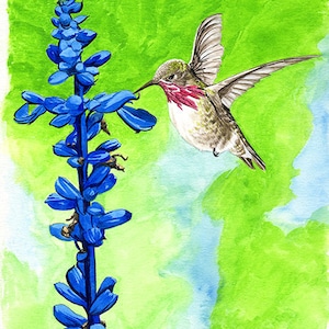 Hummingbird painting 8x10 watercolor
