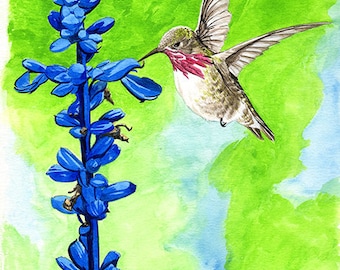 Hummingbird painting 8x10 watercolor