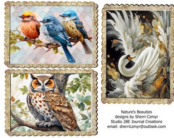Natural Beauties - Birds - A Digital Kit