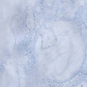 Blue Dyed Pages - Pages Dyed with Red Cabbage Tea