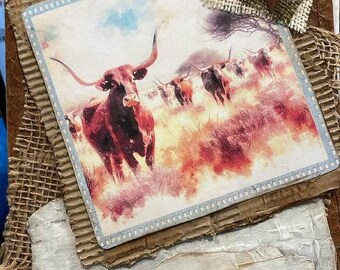 Longhorn Stampede Journal