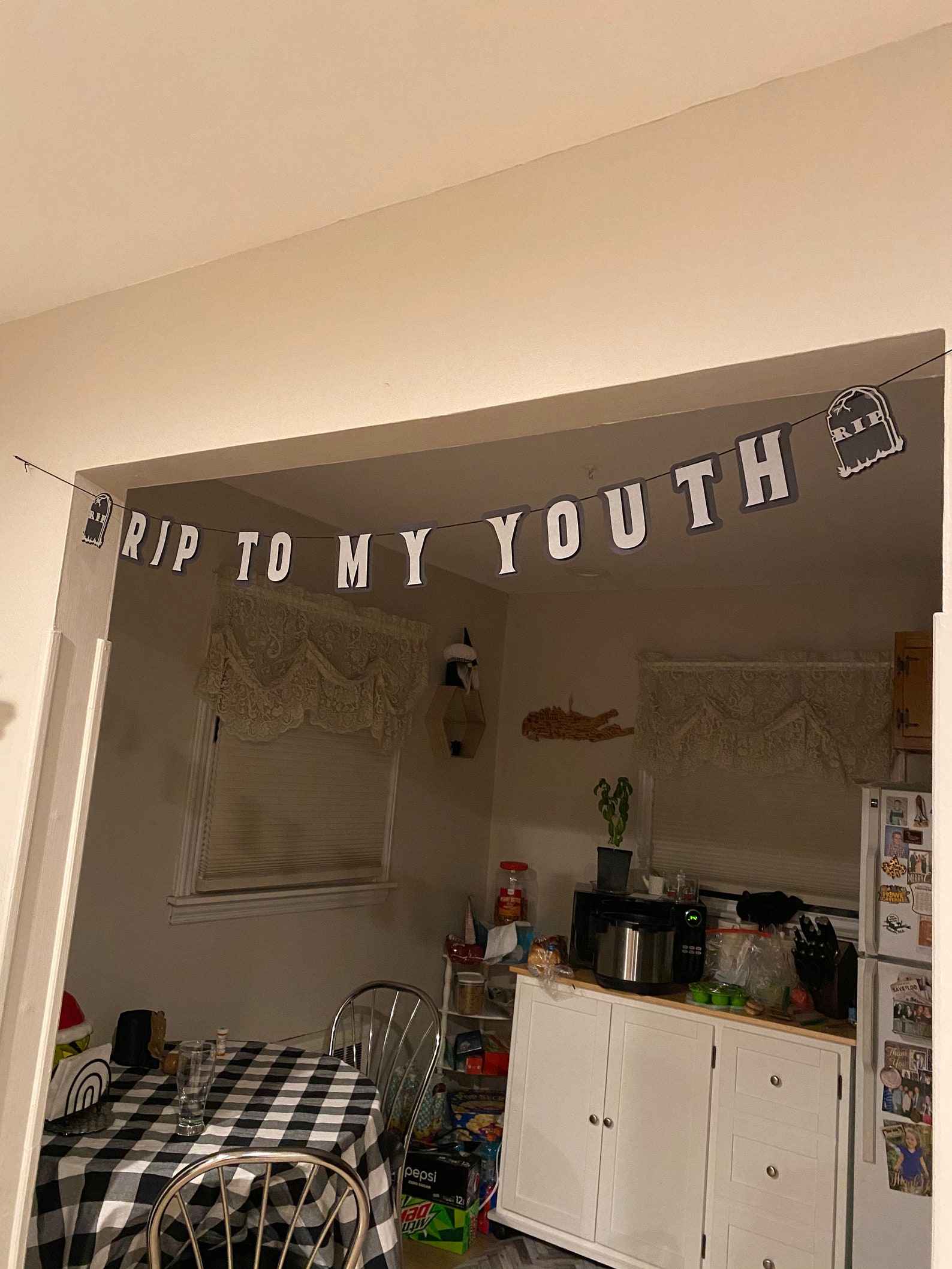 'Death To My Youth' Banner – Lustige Dekoration Für Geburtstagspartys (20., 30., 40., 50.)