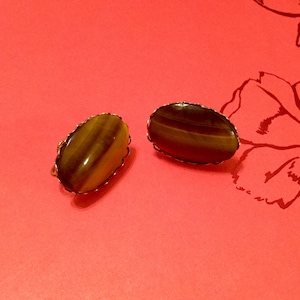 Tiger Eye Earrings