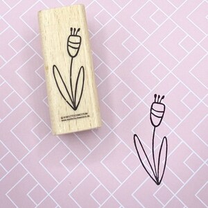 Plante de timbre, fleur, élément floral pour les cartes de voeux, cadeaux