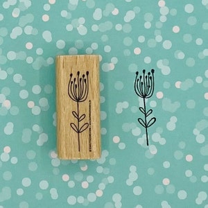Plante de timbre, fleur, élément floral pour les cartes de voeux, cadeaux