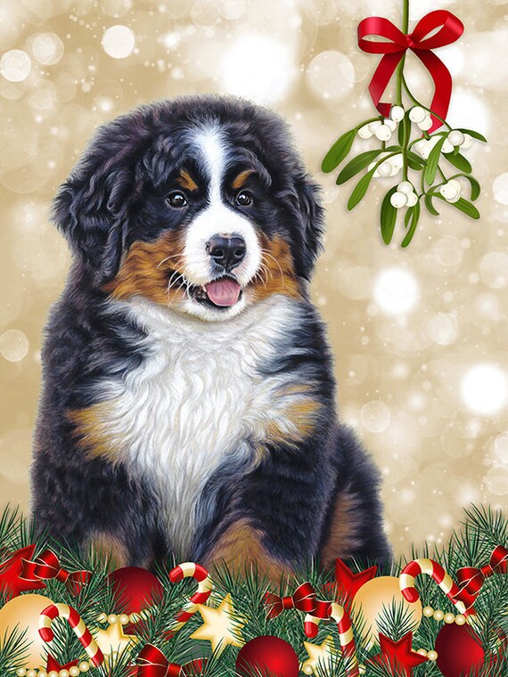 Bernese Mountain Dog Christmas Cards Pack Of 5 Berner Puppy Etsy