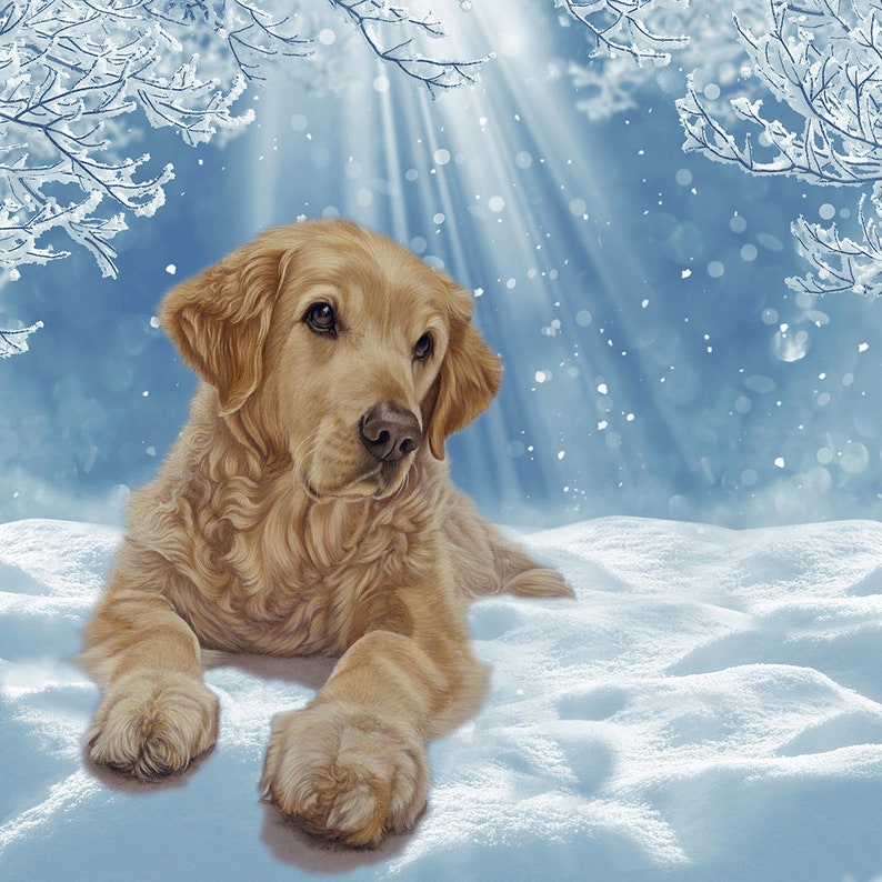 5 x Golden Retriever Weihnachtskarten Perfekte Grußkarte für Etsy.de