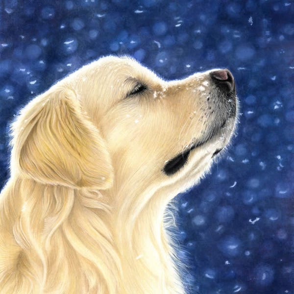 5 x Golden Retriever Greetings Cards - Ideal Christmas Card for Dog Lovers - Magic Moment