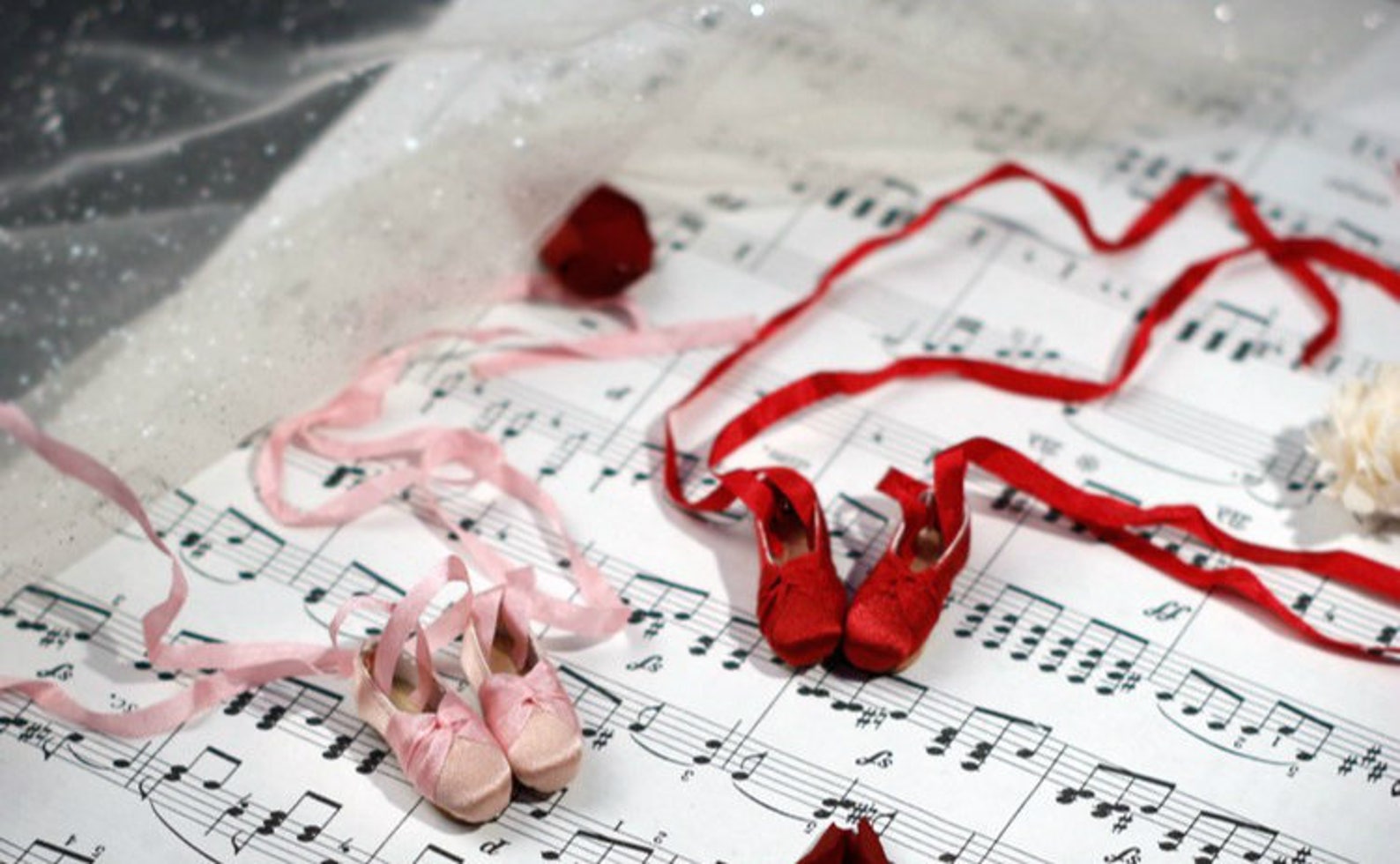 new!silk ballet slippe ballet shoes doll shoes for blythe/dal/pullip/azones/momoko/jerryberry/licca/pureneemo s/1:6/ob11/middie new!silk ballet slippe ballet shoes doll shoes for blythe/dal/pullip/azones/momoko/jerryberry/licca/pureneemo s/1:6/ob11/middie