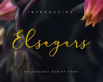 Calligraphy font download, Digital font, Handwritten font, Modern calligraphy font, Cursive font bundle, downloadable script