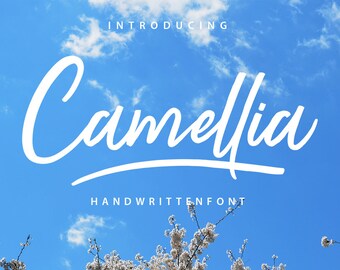 Calligraphy font download, Swirly font, Wedding script font, Calligraphy typeface, instant font download, digital font
