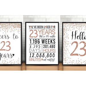 23rd Birthday Signs Bundle, Cheers to 23 Years, Hello 23, Happy 23rd Birthday, Rose Gold 23rd Birthday Signs, 23rd Anniversary Signs Pack