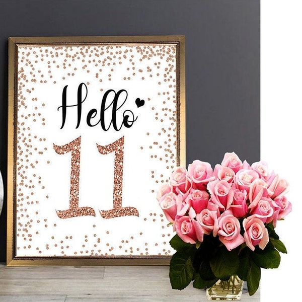 Rose Gold Hello 11 Sign, Cheers to 11 Years, 11th Birthday Sign, 11th Anniversary Sign, Rose Gold  Birthday Party Decoration, Birthday décor