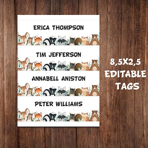 Woodland Classroom Tags, Printable Classroom Labels, Forest Animals Tags, Woodland Theme Classroom, Desk Name Plates, Blank Classroom Labels