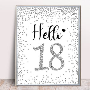 Silver Hello 18, Cheers to 18 Years, 18th Birthday Sign, 18th Anniversary Sign, Silver Birthday Party Decoration, silver birthday decoration