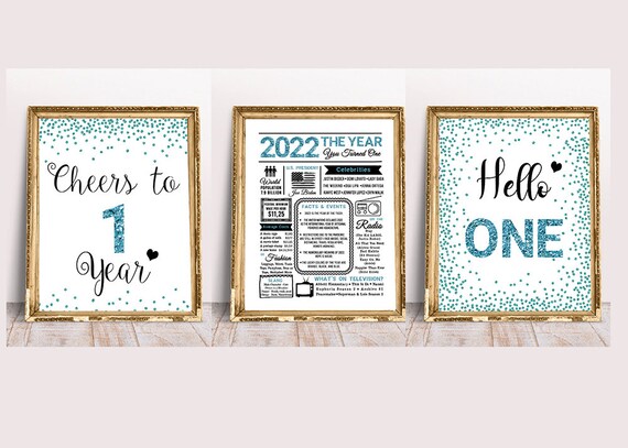1st Birthday Signs Printable 1st Birthday Signs Bundle - Etsy