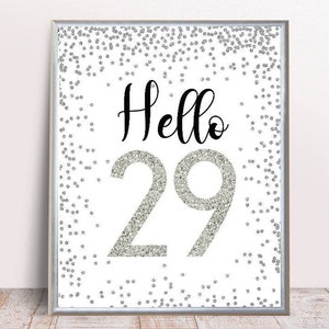 Silver 29th Birthday, Rose Gold Hello 29, Cheers to 29 Years, 29th  Birthday Sign, 29th Anniversary Sign, Silver 29th Birthday Decoration
