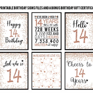 Paquet de signes du 14e anniversaire, 8x10, Bravo aux 14 ans, Bonjour 14, Joyeux 14e anniversaire, Signes du 14e anniversaire en or rose, 14e anniversaire des filles