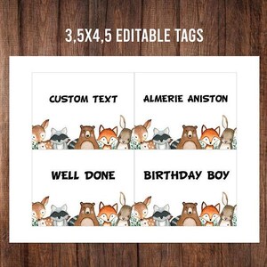 Woodland Classroom Tags, Printable Classroom Labels, Forest Animals Tags, Woodland Theme Classroom, Desk Name Plates, Blank Classroom Labels