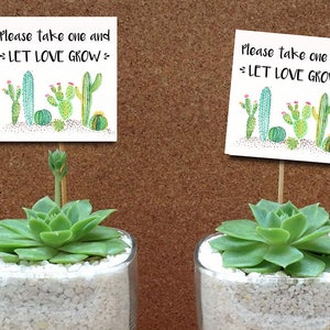 Watch love grow tags, Succulent Bridal Shower Thank you tags, Succulent favor tags, Fiesta Favor Tags, Cactus Bridal shower, Succulent tags