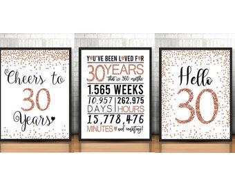 30th Birthday Signs Bundle, Cheers to 30 Years, Hello 30, Happy 30th Birthday, Rose Gold 30th Birthday Signs, 30th Anniversary Signs Pack