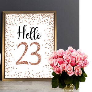Signo de Hola 23 de Oro Rosa, IMPRIMIBLE, Saludos a 23 Años, Signo de Cumpleaños 23, 23 y Fabuloso, Signo de Cumpleaños de Oro Rosa, Feliz Cumpleaños 23