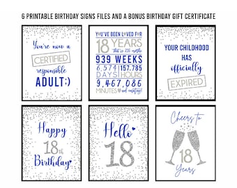 Paquete de signos de cumpleaños número 18 de plata, 8x10, Saludos a los 18 años, Hola 18, Feliz cumpleaños número 18, Signos de cumpleaños número 18 plateados y azules, Día 18