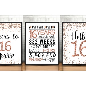 16th Birthday Signs Bundle, Cheers to 16 Years, Hello 16, Happy 16th Birthday, Rose Gold 16th Birthday Signs, 16th Anniversary Signs Pack