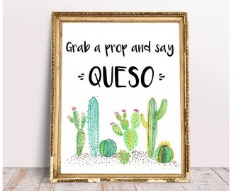 Fiesta Photo Booth Prop/ Cactus Photo Booth/ Mexican Celebration/ Mexican Event Decoration/ Fiesta Photo Booth/ Succulent Photo Booth