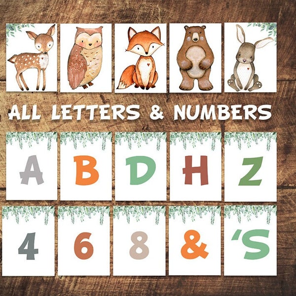 Woodland Theme Alphabet and Numbers, Woodland Classroom Decor, Forest Theme Classroom, Classroom Door Decor, Woodland Class Decor, Banner