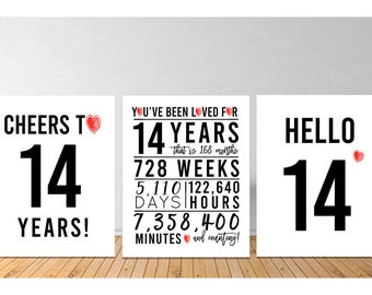 14th Birthday Decoration, Printable, 14th Birthday Signs Bundle, Cheers to 14 Years, Hello 14 Decoration, 14th Birthday Party, 14th bday