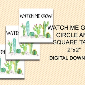 Watch me grow tags, Succulent Baby Shower Thank you tags, Succulent favor tags, Fiesta Favor Tags, Cactus Baby shower favors, Succulent Tags