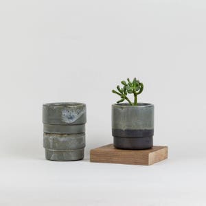 Könnte beinhalten: Zwei Keramik-Blumentöpfe, einer gestapelt und einer einzeln, beide in einer grün-grauen Glasur. Der einzelne Topf hat eine Sukkulente darin. Die Töpfe stehen auf einer Holzoberfläche.