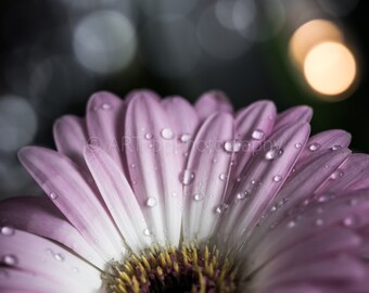 Flower Macro Photography Print, Bold Modern Vibrant Wall Art, Colour/Black And White