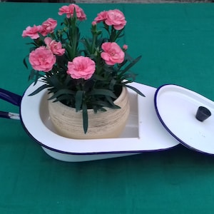 Puede incluir: Un orinal de esmalte blanco con borde y asa azules. El orinal tiene una tapa con un pomo negro. Una pequeña maceta de terracota con claveles rosas está sentada dentro del orinal.