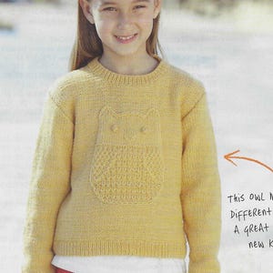 Knitting Pattern Cute Hoot, Owl Sweater Jumper in DK for chest 61-117cm/24-46in, 5 Years to Adult. Pages from Simply Knitting Magazine.