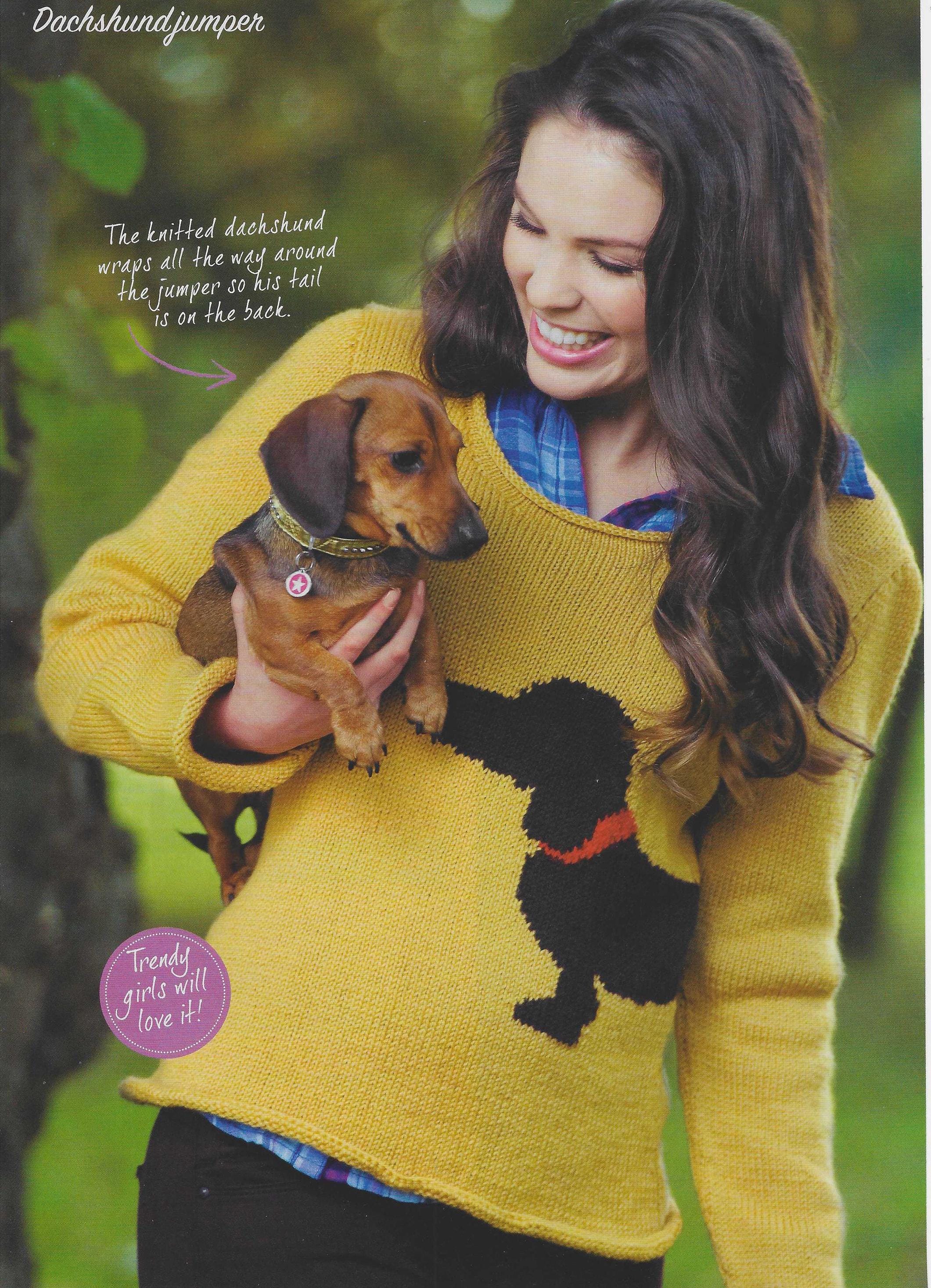 Dachshund Cardigan UK