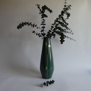 Könnte beinhalten: Eine hohe, dunkelgrüne Keramikvase mit verjüngtem Hals und glatter, glänzender Oberfläche. Die Vase weist dünne, vertikale weiße Linien auf ihrem Körper auf und enthält mehrere Stängel getrockneten Eukalyptus mit dunklen, runden Blättern.