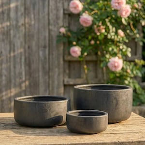 Op de afbeelding: Drie donkergrijze, ronde plantenbakken van verschillende formaten staan op een verweerde houten tafel. De plantenbakken hebben een getextureerd oppervlak en een eenvoudig, modern ontwerp. Roze rozen bloeien op de achtergrond.