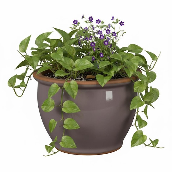 planta lavanda ceramica 28cm tu tienda de decoracion online