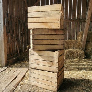 Second-hand fruit crates 50x40x30cm - Rustic wooden crates, B-grade, for garden & DIY - Old wine crates, sturdy but with defects - Vintage decorative shelf 4er Set