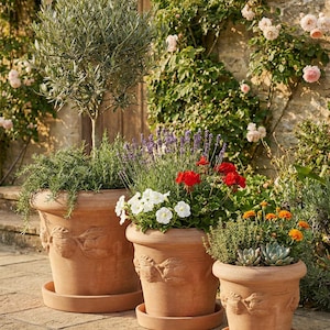 Op de afbeelding: Drie terracotta bloempotten van verschillende formaten, elk gevuld met verschillende planten en bloemen. De potten hebben een decoratief reliëf ontwerp en staan op bijpassende schotels. De achtergrond toont een stenen muur en klimplanten.