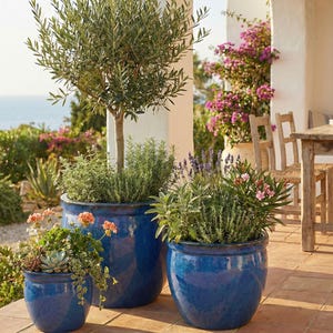 Può includere: Tre vasi di ceramica smaltata blu di diverse dimensioni, riempiti di verde e piante fiorite. I vasi sono disposti su un patio con piastrelle in terracotta, con vista sul mare sullo sfondo. I vasi sono etichettati con la parola "TERAMICO".
