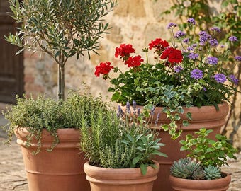 Ronde terracotta plantenbak, vorstbestendig | Bloempot voor buiten | Italiaanse kleipot | Doppio Bordo met en zonder schotel