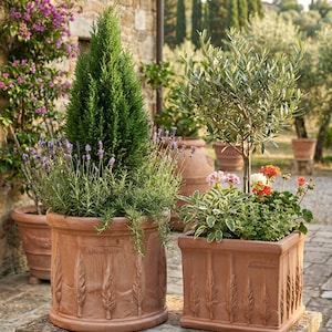 Terrakotta Pflanzgefäß Cipressi Frostfest Rund & Quadratisch | Handgemachter Blumenkübel mit Zypressen-Motiv für Garten und Balkon