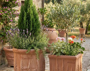 Terracotta planter Cipressi Frost-resistant Round & Square | Handmade flower pot with cypress motif for garden and balcony